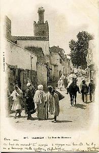 TLEMCEN 214